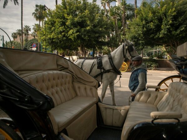 Spanish tourist hotspot Malaga to ban horse-drawn carriages