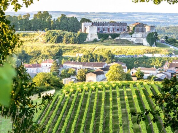 There’s more to Cognac in France than its famous brandy