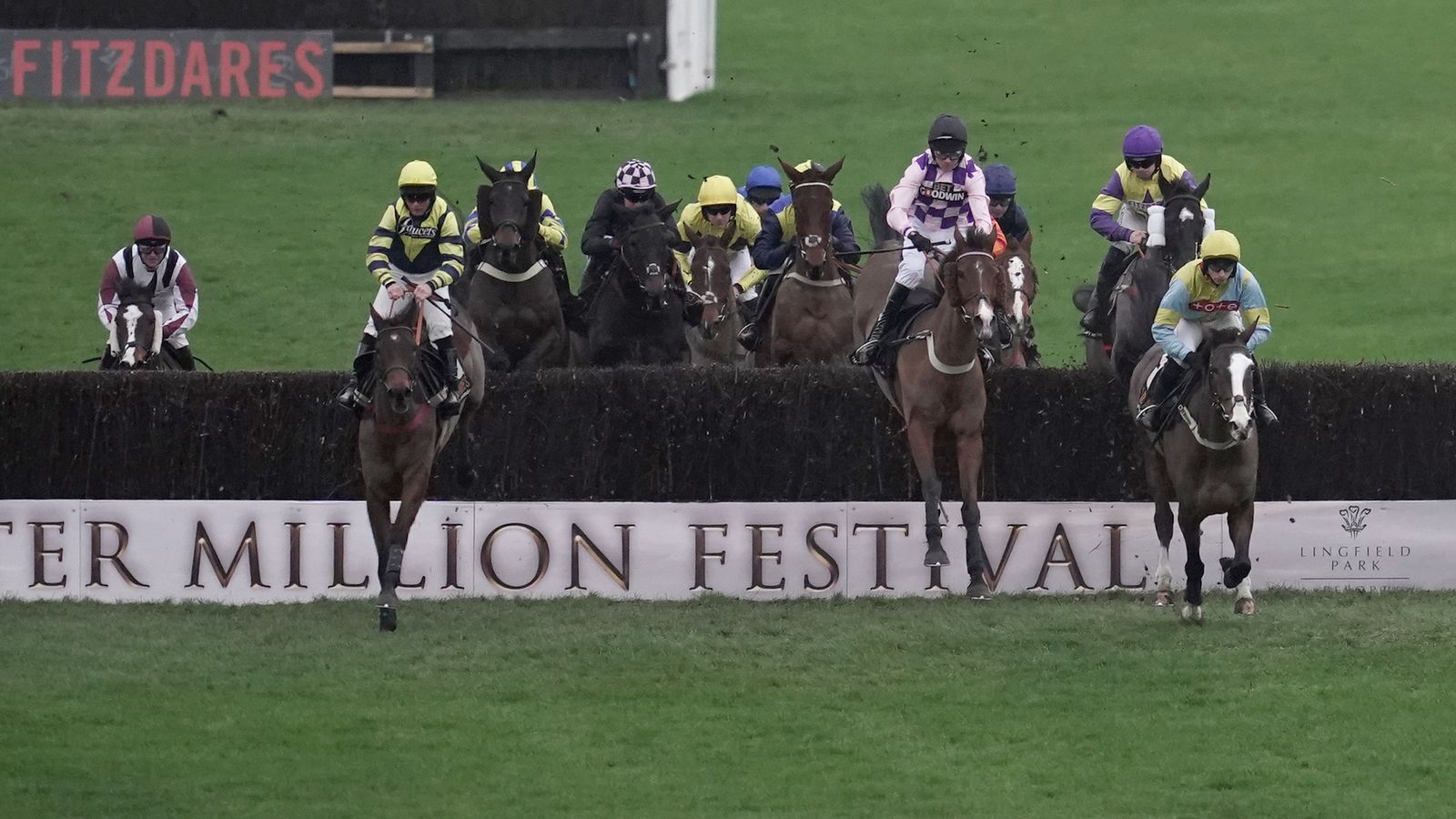 Today on Sky Sports Racing: Lingfield and Wolverhampton host live racing | Racing News Today on Sky Sports Racing: Lingfield and Wolverhampton host live racing | Racing News