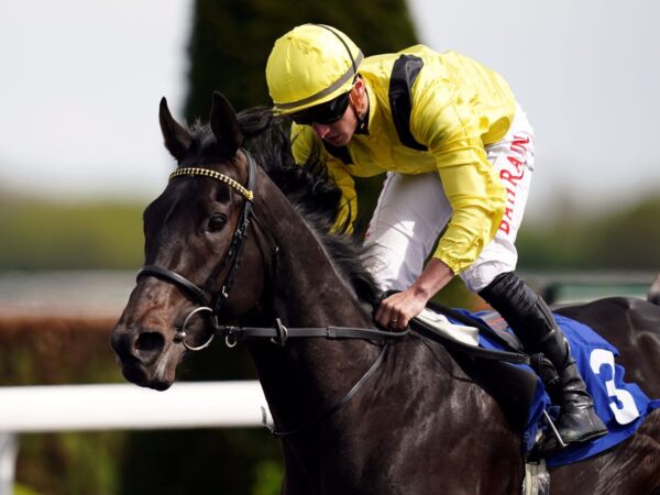 Today on Sky Sports Racing: Maljoom headlines Tandridge Stakes line-up | Racing News