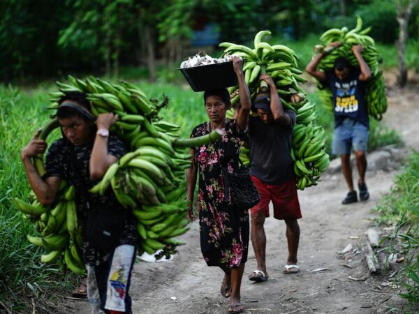 UN talks end in Rome with nations backing 0 billion a year plan to protect nature