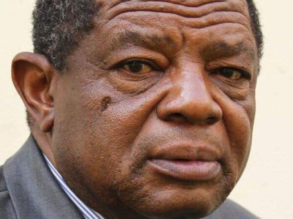 A man called Bombshell fires up Zimbabwe’s succession battle