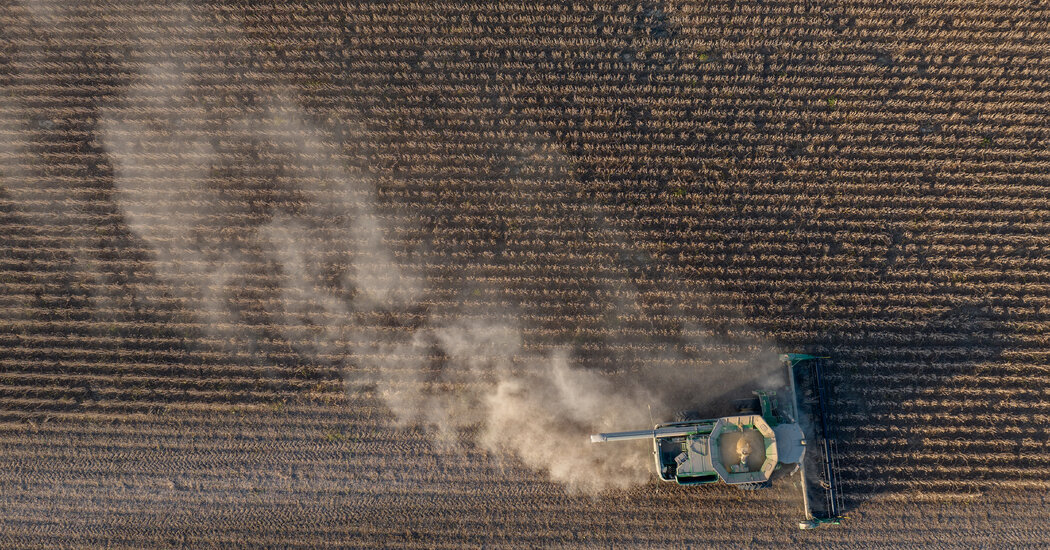 China and Canada Retaliate Against New Trump Tariffs: Live Updates