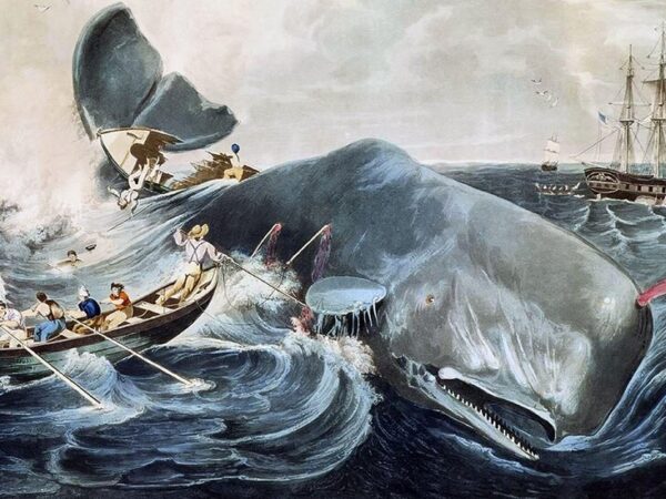 Jake Heggie’s Adaptation of ‘Moby Dick’ Comes to the Metropolitan Opera