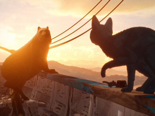 Pets Can’t Stop Watching ‘Flow,’ the Oscar-Winning Cat Movie