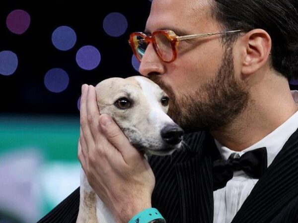Whippet called Miuccia wins best in show at Crufts